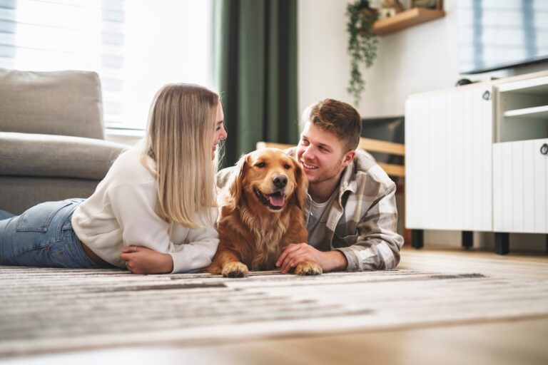 A Portrait of a young woman on the livingroom with golden retriever dog indoors at home.