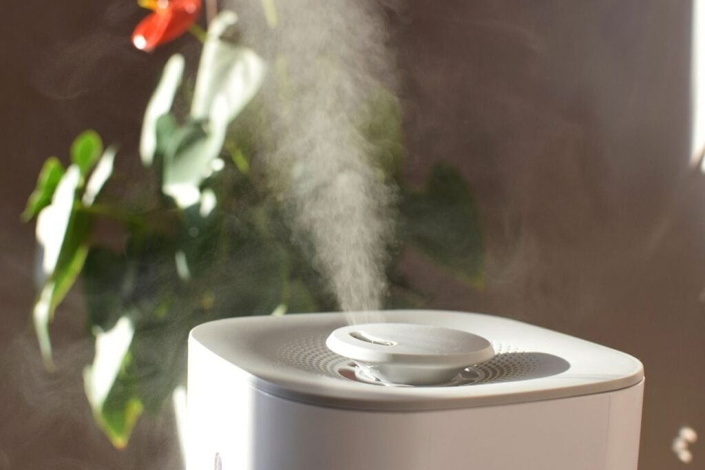 modern device on house how to clean humidifier