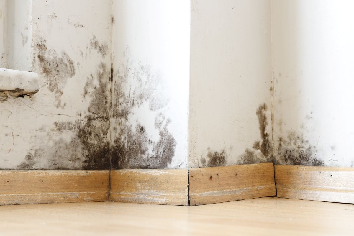 how to reduce humidity black stains on the wall