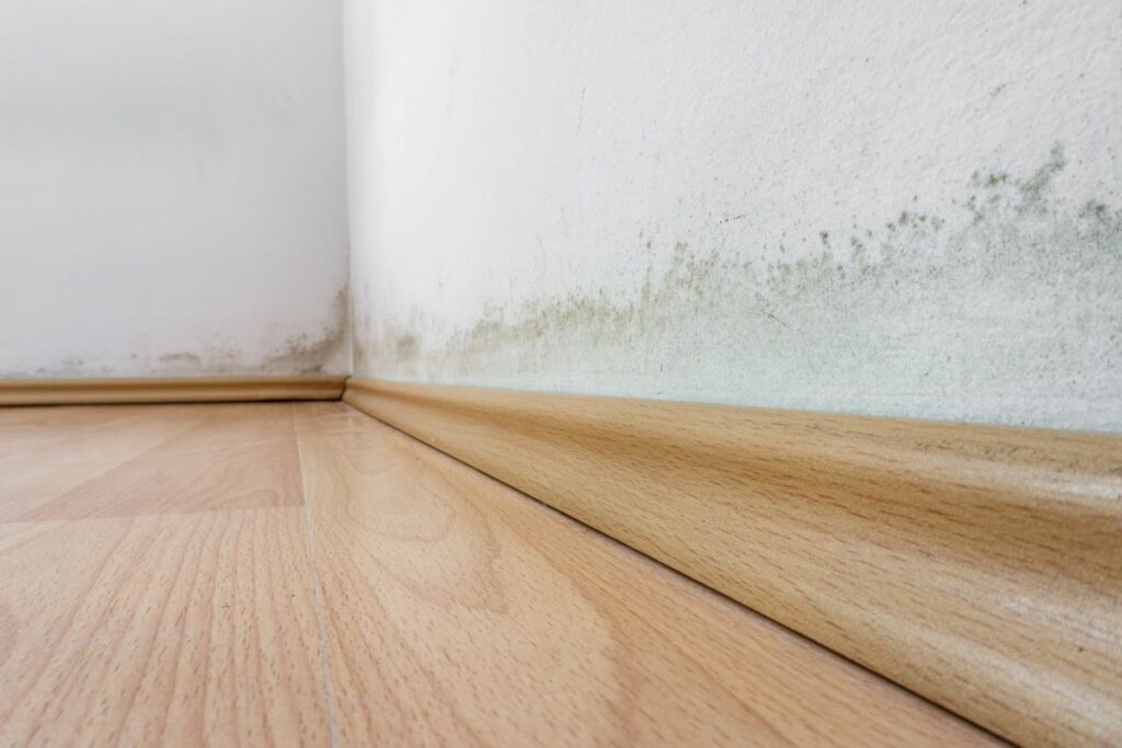 how to reduce humidity in house mold on white wall