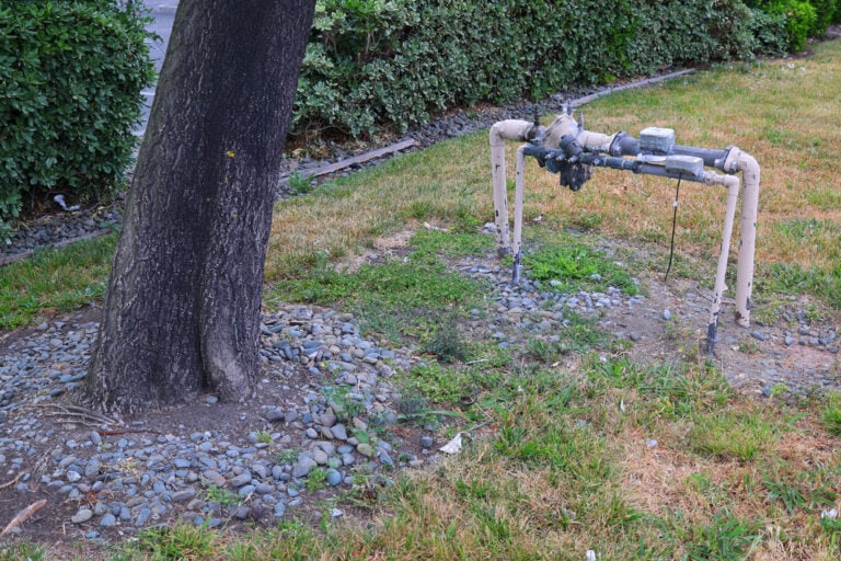 irrigation backflow preventer installed next to tree