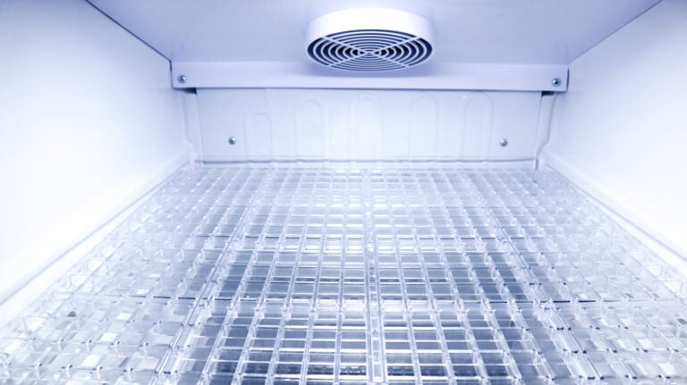 refrigeration cycle Close up inside an empty refrigerator or cooler compartment looking down at a clear plastic grid shelf